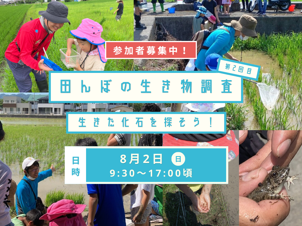 生き物調査2