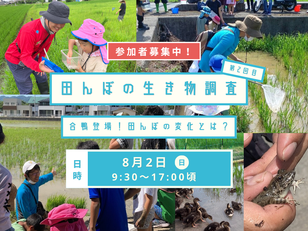 生き物調査_2